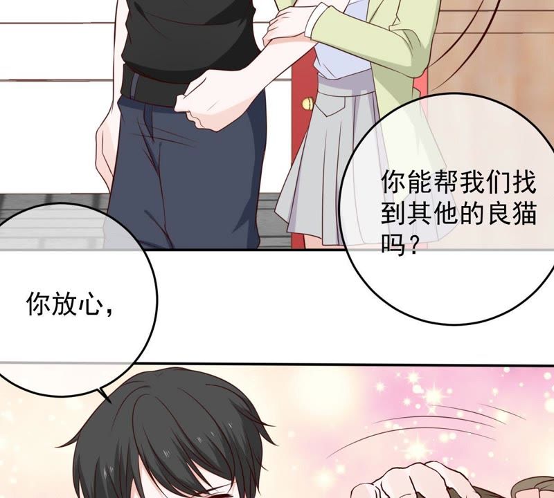 世无良猫韩漫全集-第37话 我们，可是很痴情的无删减无遮挡章节图片 