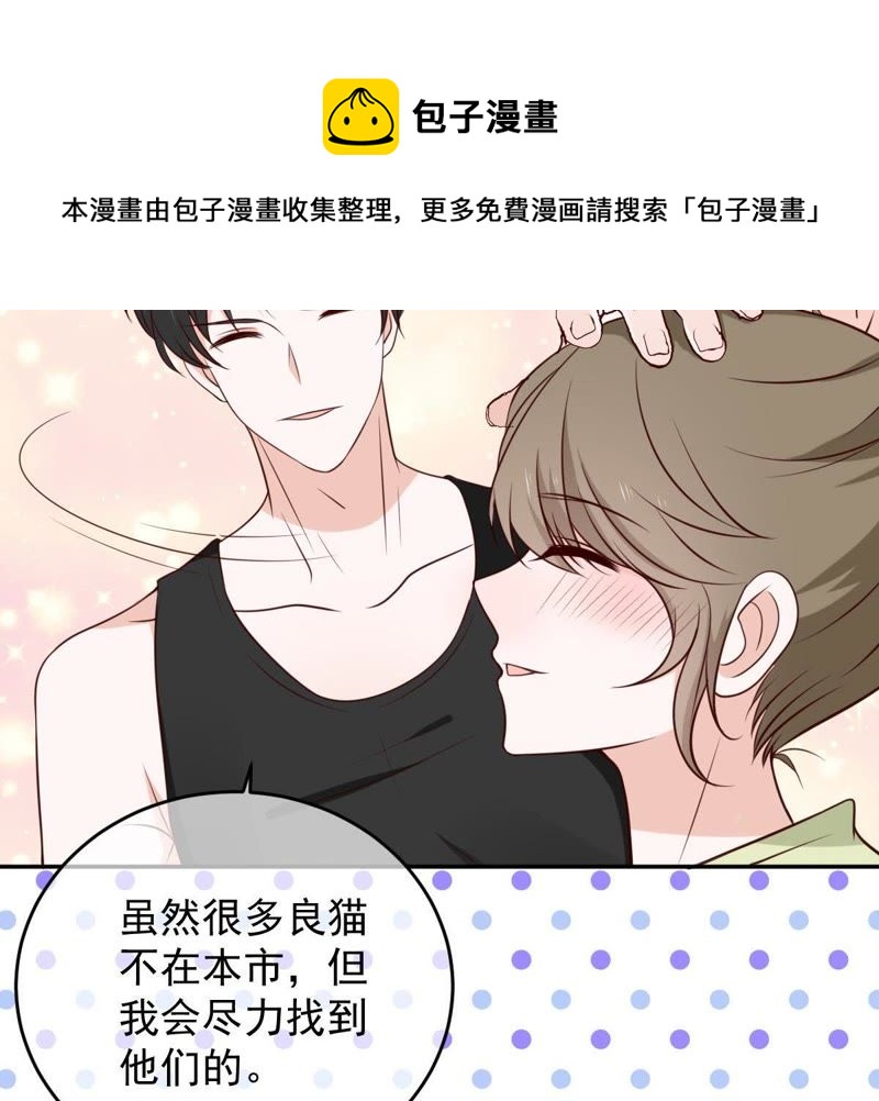 世无良猫韩漫全集-第37话 我们，可是很痴情的无删减无遮挡章节图片 
