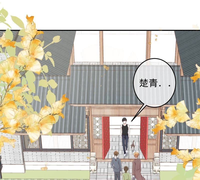 世无良猫韩漫全集-第37话 我们，可是很痴情的无删减无遮挡章节图片 