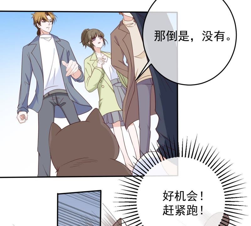世无良猫韩漫全集-第37话 我们，可是很痴情的无删减无遮挡章节图片 
