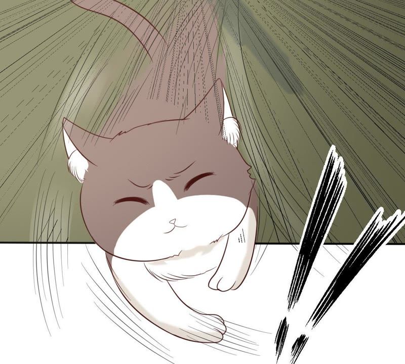 世无良猫韩漫全集-第37话 我们，可是很痴情的无删减无遮挡章节图片 