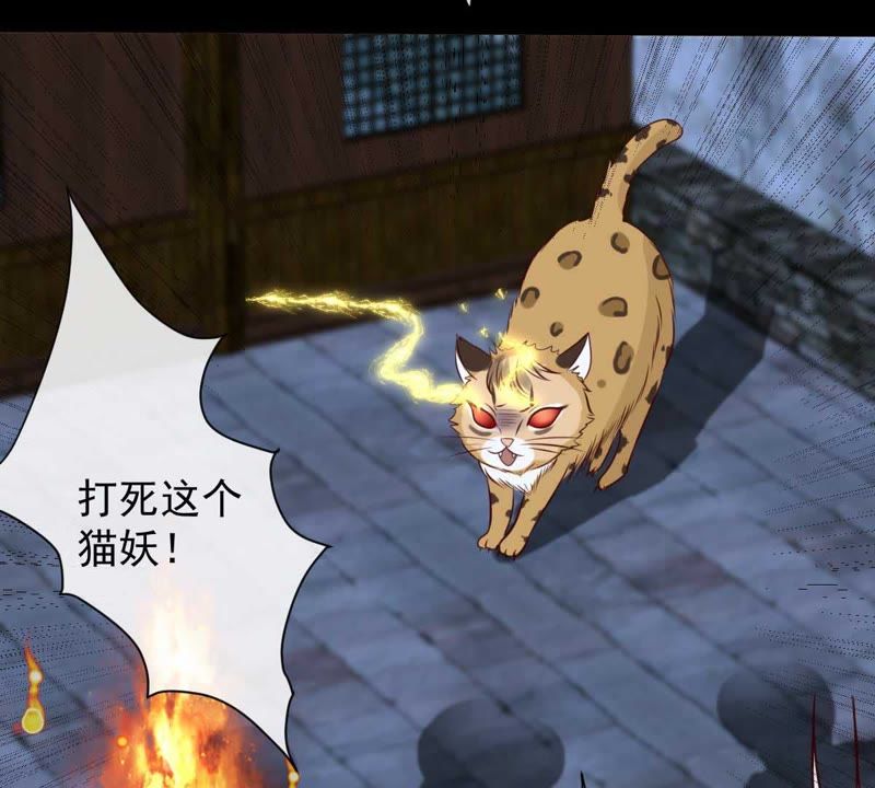 世无良猫韩漫全集-第39话 无止境的利用无删减无遮挡章节图片 