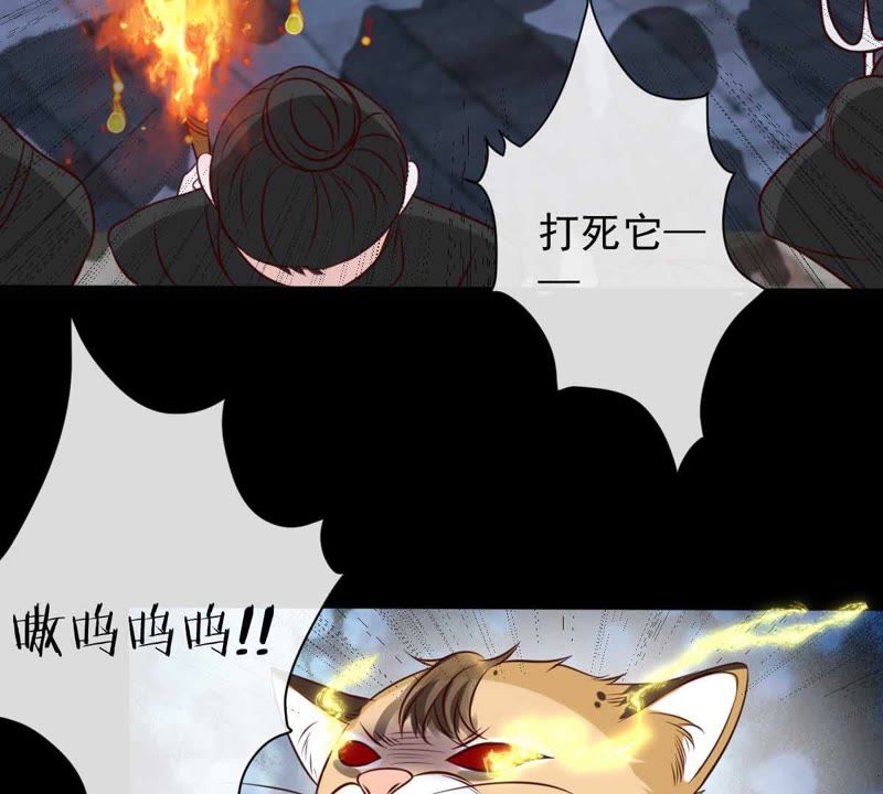 世无良猫韩漫全集-第39话 无止境的利用无删减无遮挡章节图片 