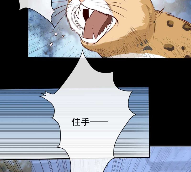 世无良猫韩漫全集-第39话 无止境的利用无删减无遮挡章节图片 