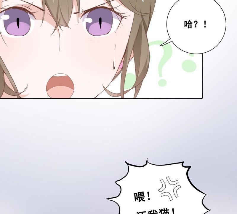 世无良猫韩漫全集-第4话 宿舍刺杀事件无删减无遮挡章节图片 