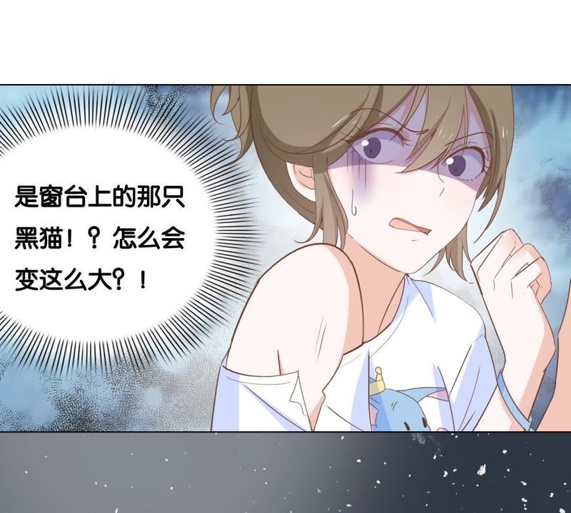世无良猫韩漫全集-第4话 宿舍刺杀事件无删减无遮挡章节图片 