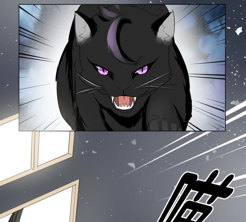 世无良猫韩漫全集-第4话 宿舍刺杀事件无删减无遮挡章节图片 