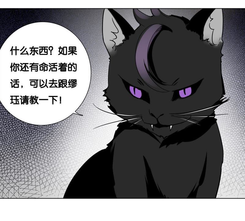 世无良猫韩漫全集-第4话 宿舍刺杀事件无删减无遮挡章节图片 