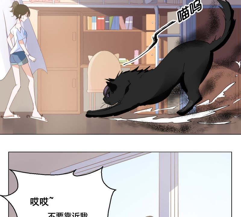 世无良猫韩漫全集-第4话 宿舍刺杀事件无删减无遮挡章节图片 