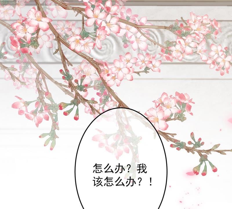 世无良猫韩漫全集-第41话 放弃我的身体无删减无遮挡章节图片 