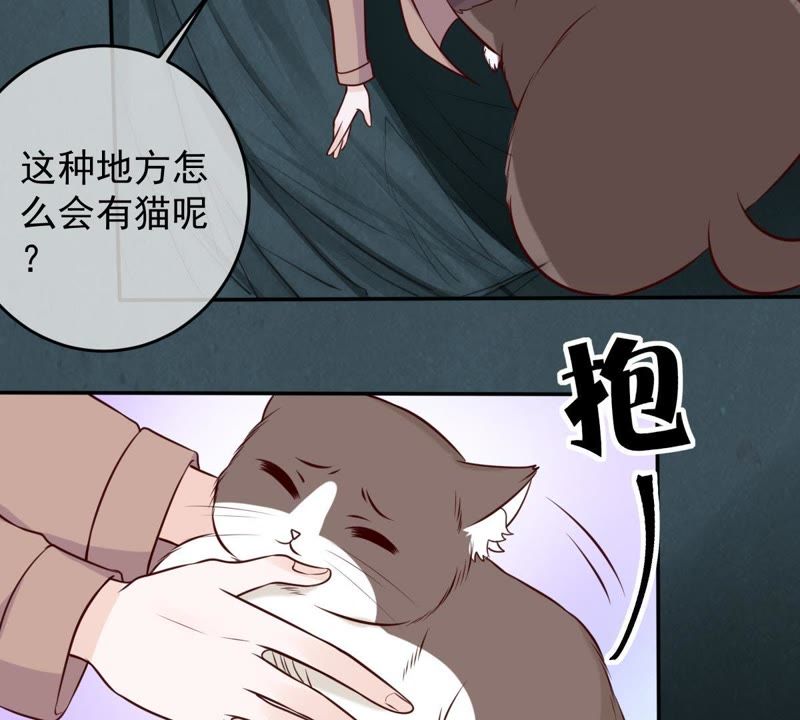世无良猫韩漫全集-第43话 缪珏变渣男无删减无遮挡章节图片 
