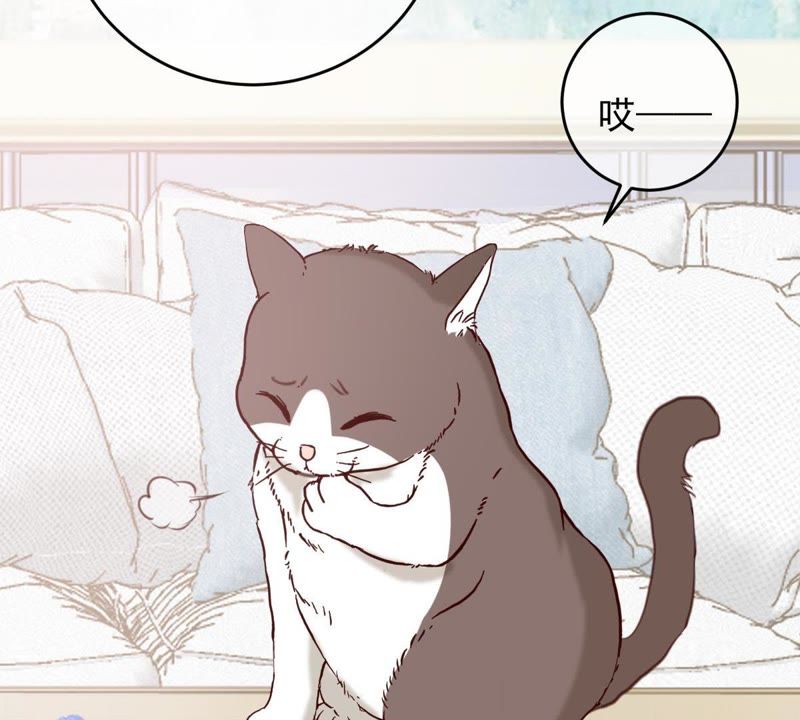 世无良猫韩漫全集-第48话 缪夜笙的邀请无删减无遮挡章节图片 