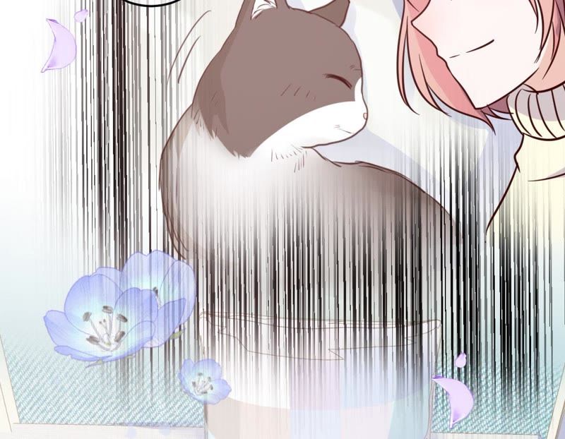 世无良猫韩漫全集-第48话 缪夜笙的邀请无删减无遮挡章节图片 