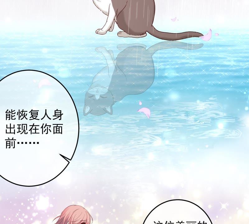 世无良猫韩漫全集-第48话 缪夜笙的邀请无删减无遮挡章节图片 