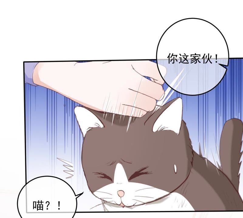 世无良猫韩漫全集-第48话 缪夜笙的邀请无删减无遮挡章节图片 