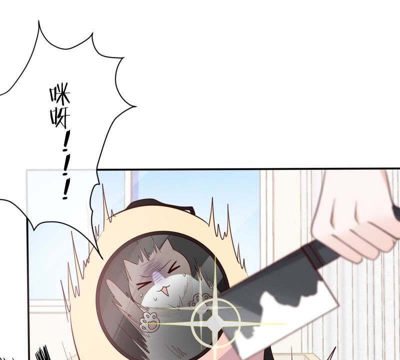 世无良猫韩漫全集-第48话 缪夜笙的邀请无删减无遮挡章节图片 