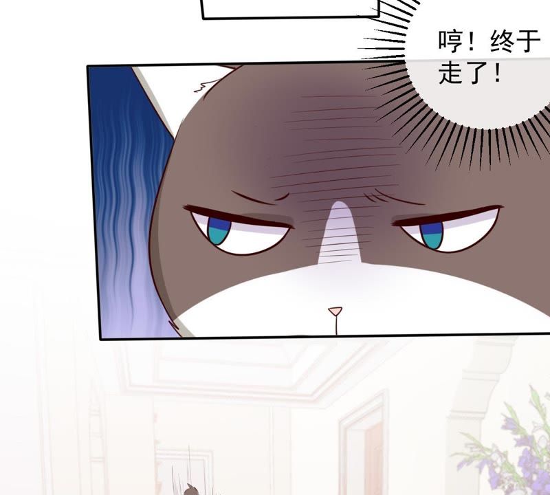 世无良猫韩漫全集-第48话 缪夜笙的邀请无删减无遮挡章节图片 