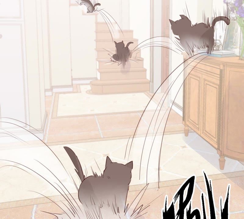 世无良猫韩漫全集-第48话 缪夜笙的邀请无删减无遮挡章节图片 