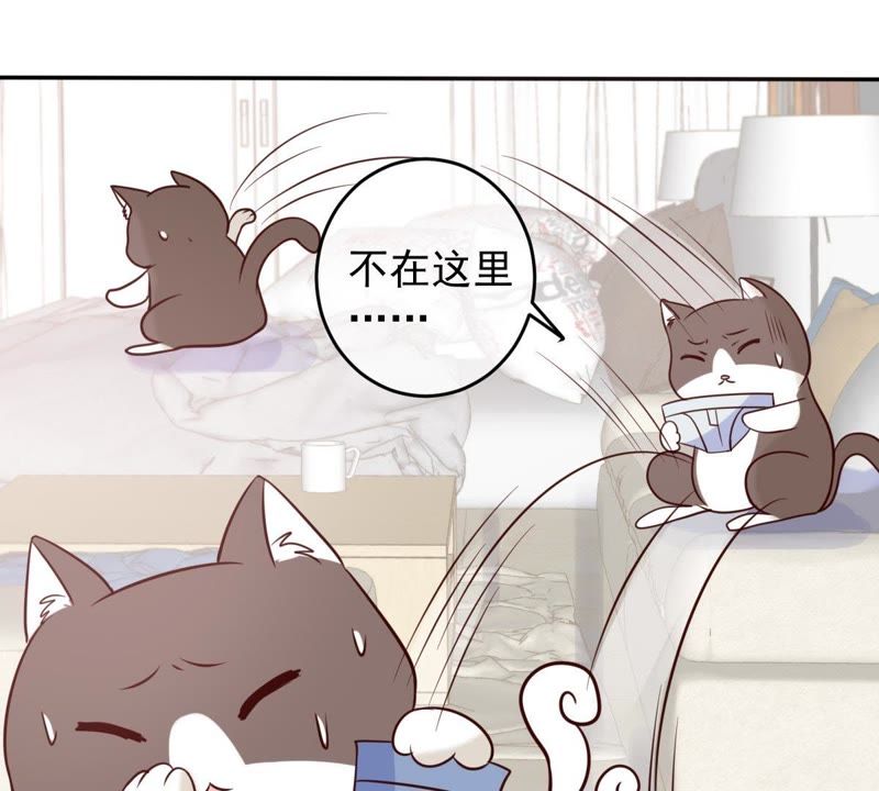 世无良猫韩漫全集-第48话 缪夜笙的邀请无删减无遮挡章节图片 