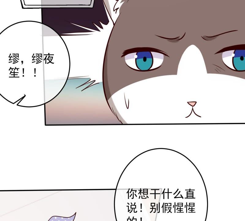 世无良猫韩漫全集-第48话 缪夜笙的邀请无删减无遮挡章节图片 