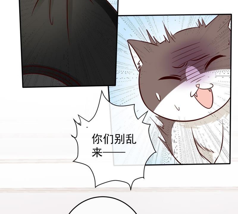 世无良猫韩漫全集-第48话 缪夜笙的邀请无删减无遮挡章节图片 