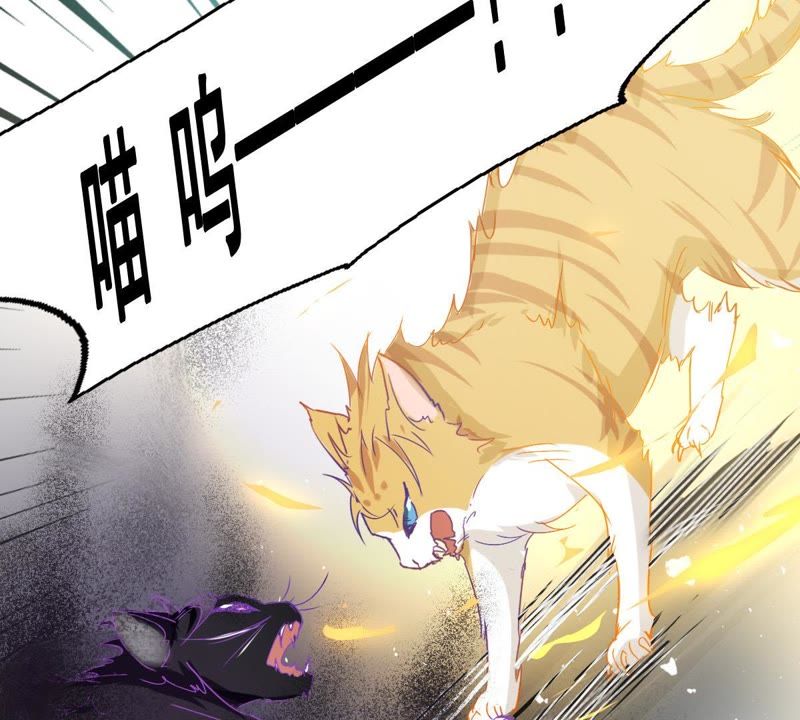 世无良猫韩漫全集-第5话 天使学长降临无删减无遮挡章节图片 