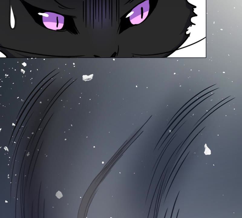 世无良猫韩漫全集-第5话 天使学长降临无删减无遮挡章节图片 