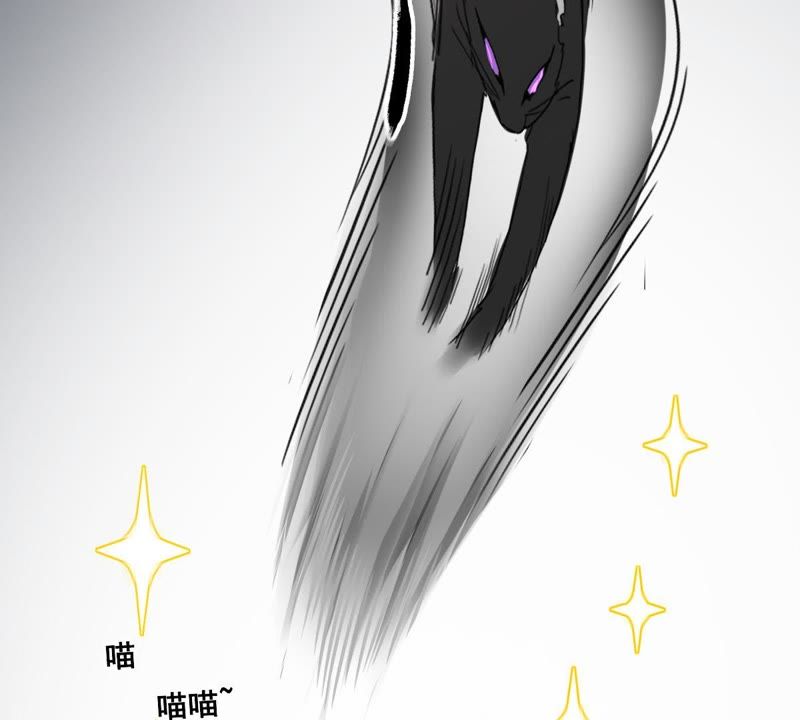 世无良猫韩漫全集-第5话 天使学长降临无删减无遮挡章节图片 