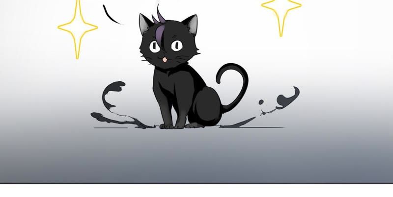 世无良猫韩漫全集-第5话 天使学长降临无删减无遮挡章节图片 