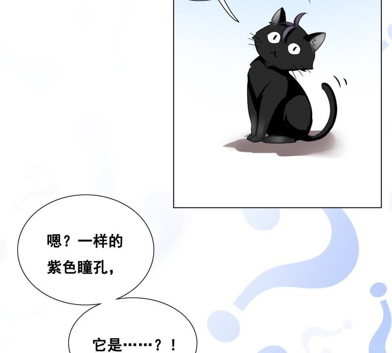 世无良猫韩漫全集-第5话 天使学长降临无删减无遮挡章节图片 