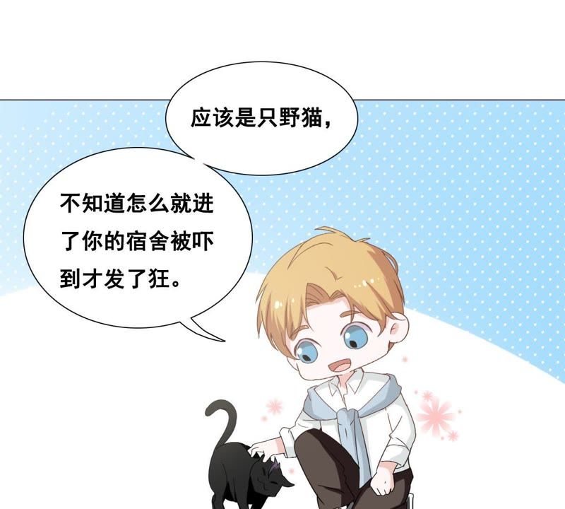 世无良猫韩漫全集-第5话 天使学长降临无删减无遮挡章节图片 