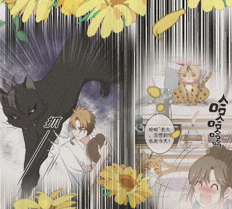 世无良猫韩漫全集-第52话 心结无删减无遮挡章节图片 