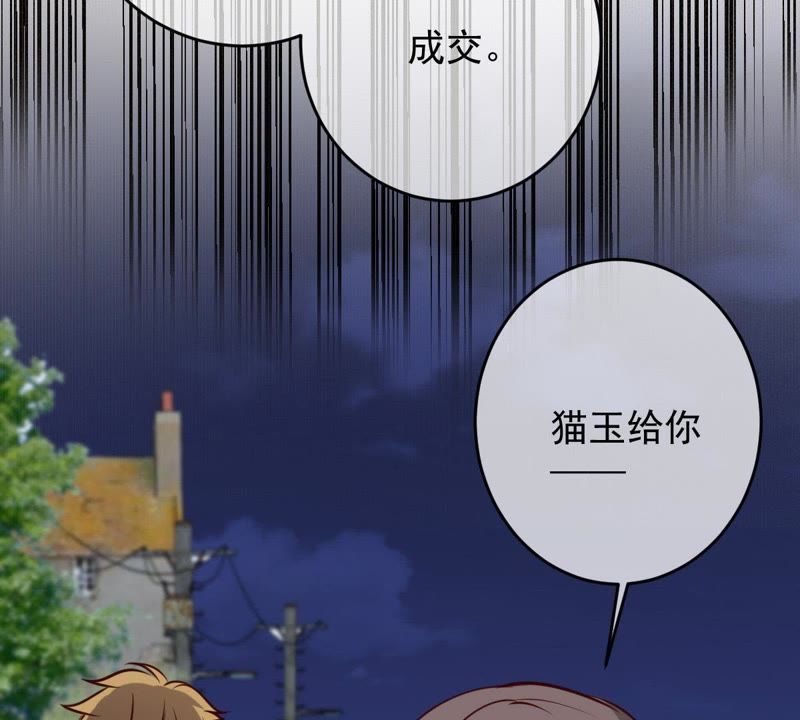 世无良猫韩漫全集-第53话 满眼都是你无删减无遮挡章节图片 