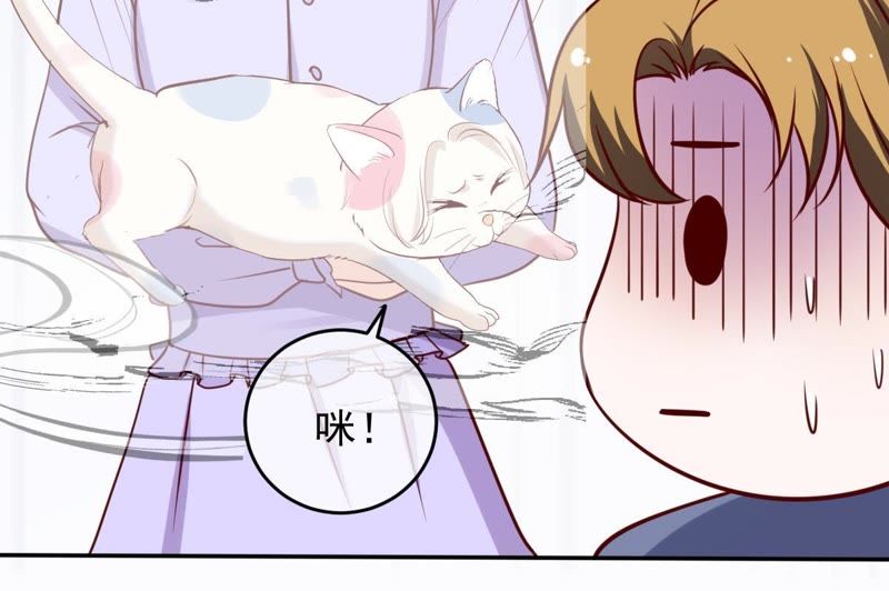 世无良猫韩漫全集-第60话 花魁缪西提无删减无遮挡章节图片 