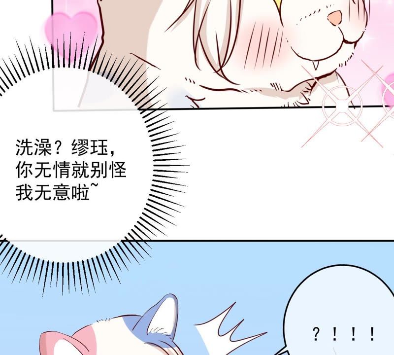 世无良猫韩漫全集-第60话 花魁缪西提无删减无遮挡章节图片 
