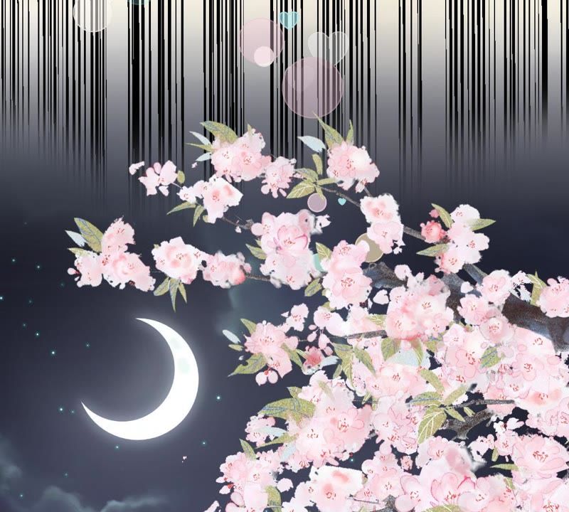 世无良猫韩漫全集-第60话 花魁缪西提无删减无遮挡章节图片 