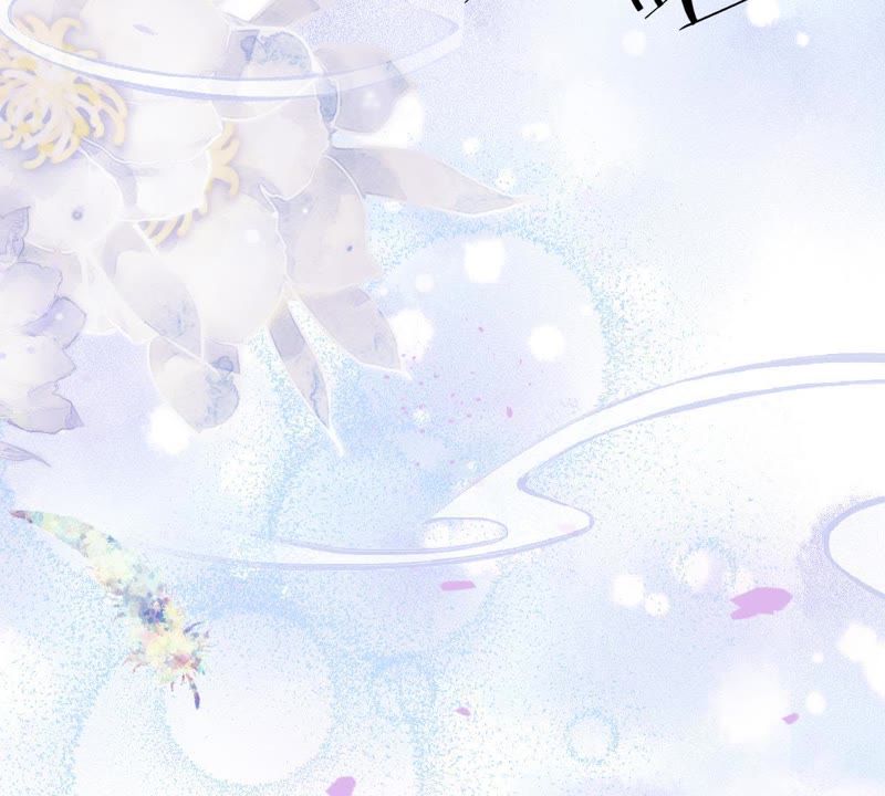 世无良猫韩漫全集-第60话 花魁缪西提无删减无遮挡章节图片 