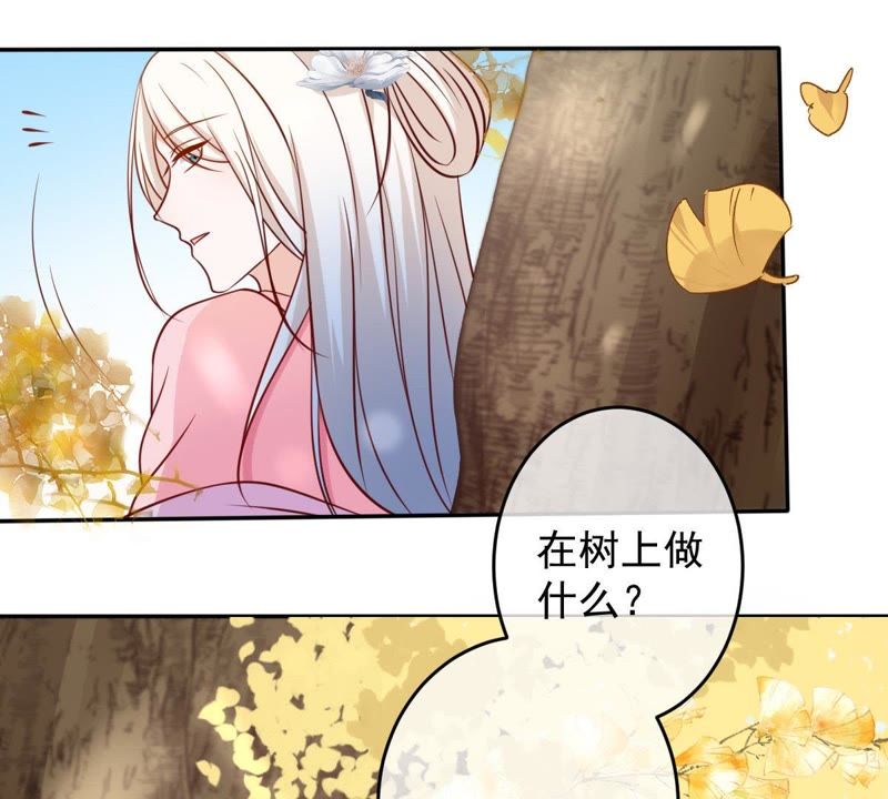 世无良猫韩漫全集-第62话 严刑拷打无删减无遮挡章节图片 