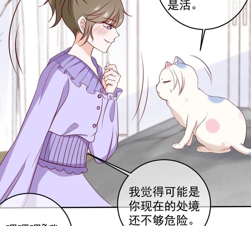 世无良猫韩漫全集-第64话 猫玉争夺战无删减无遮挡章节图片 