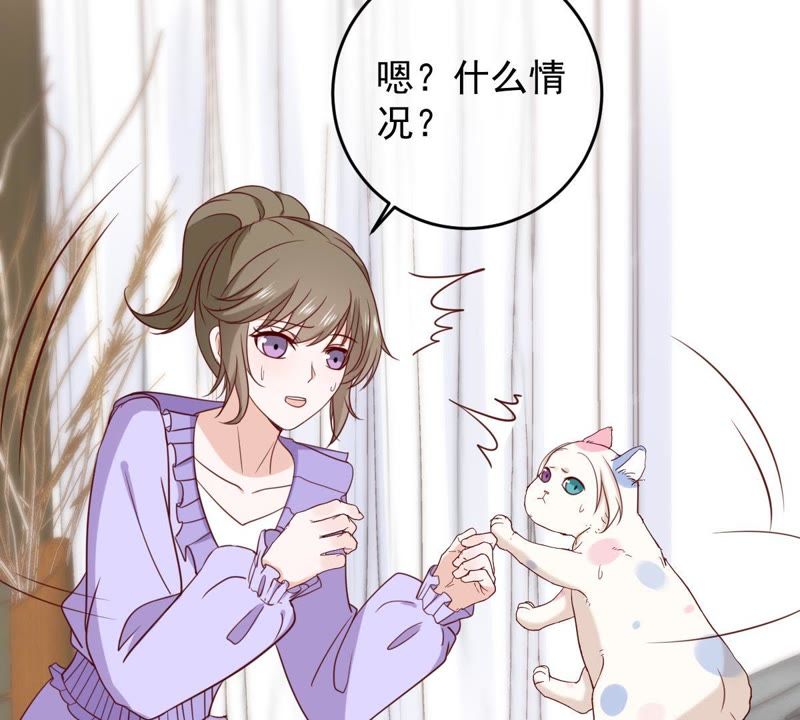 世无良猫韩漫全集-第64话 猫玉争夺战无删减无遮挡章节图片 