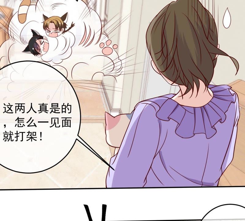 世无良猫韩漫全集-第64话 猫玉争夺战无删减无遮挡章节图片 