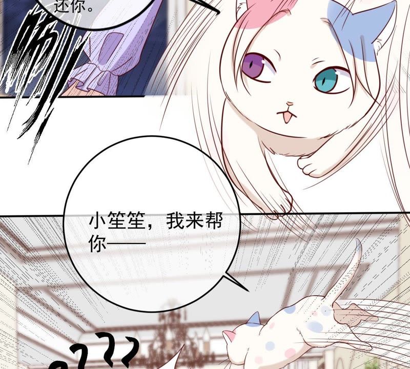 世无良猫韩漫全集-第64话 猫玉争夺战无删减无遮挡章节图片 
