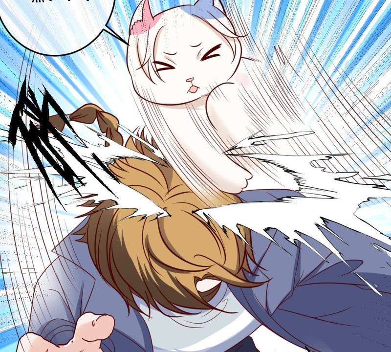 世无良猫韩漫全集-第64话 猫玉争夺战无删减无遮挡章节图片 