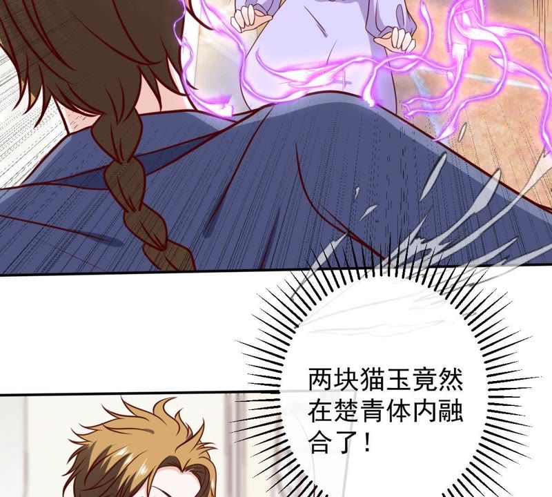 世无良猫韩漫全集-第64话 猫玉争夺战无删减无遮挡章节图片 