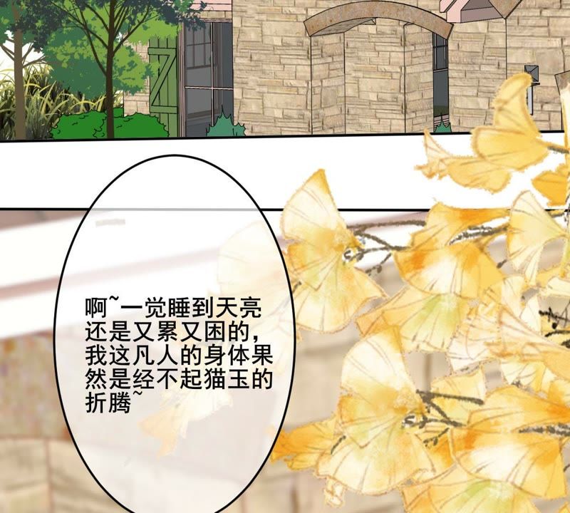 世无良猫韩漫全集-第65话 女人心思你别猜无删减无遮挡章节图片 