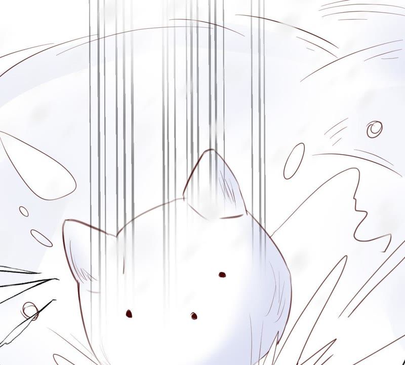 世无良猫韩漫全集-第66话 缪玖和戚夫人的心事无删减无遮挡章节图片 
