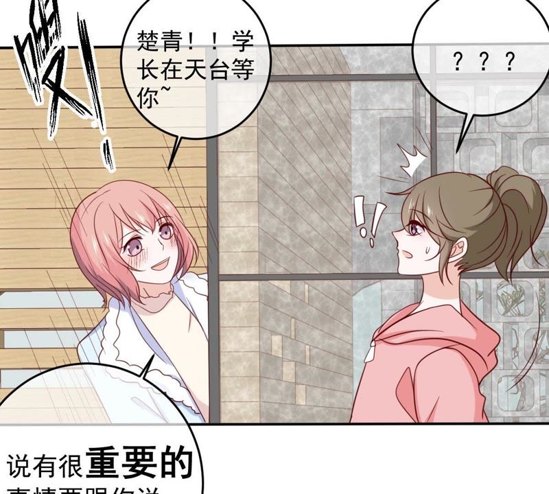 世无良猫韩漫全集-第67话 天台上的表白无删减无遮挡章节图片 