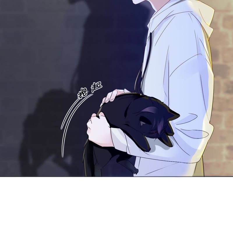 世无良猫韩漫全集-第7话 强吻理由无删减无遮挡章节图片 