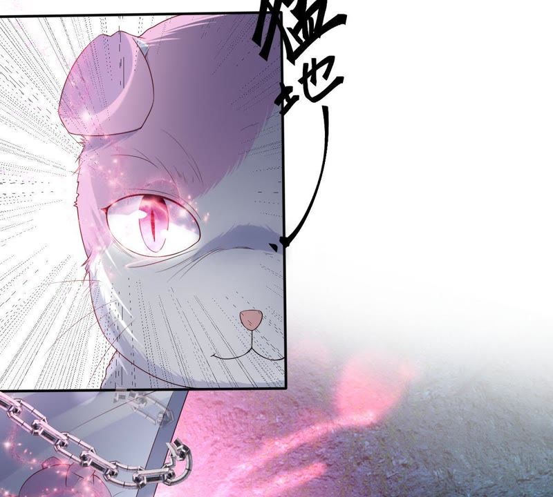 世无良猫韩漫全集-第70话 新的盟友无删减无遮挡章节图片 