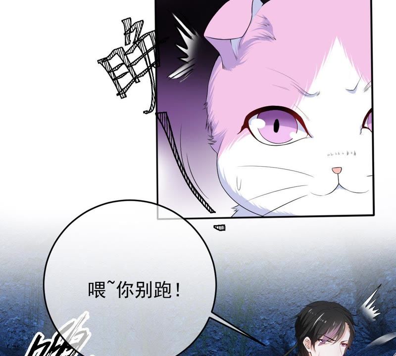 世无良猫韩漫全集-第70话 新的盟友无删减无遮挡章节图片 